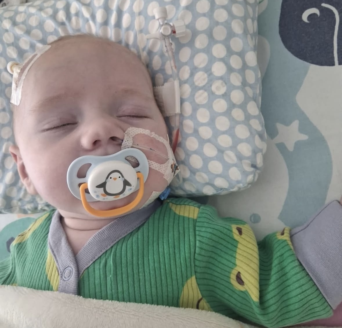 HLHS - RATUJEMY SERDUSZKO ZIEMOWITA - obrazek 11