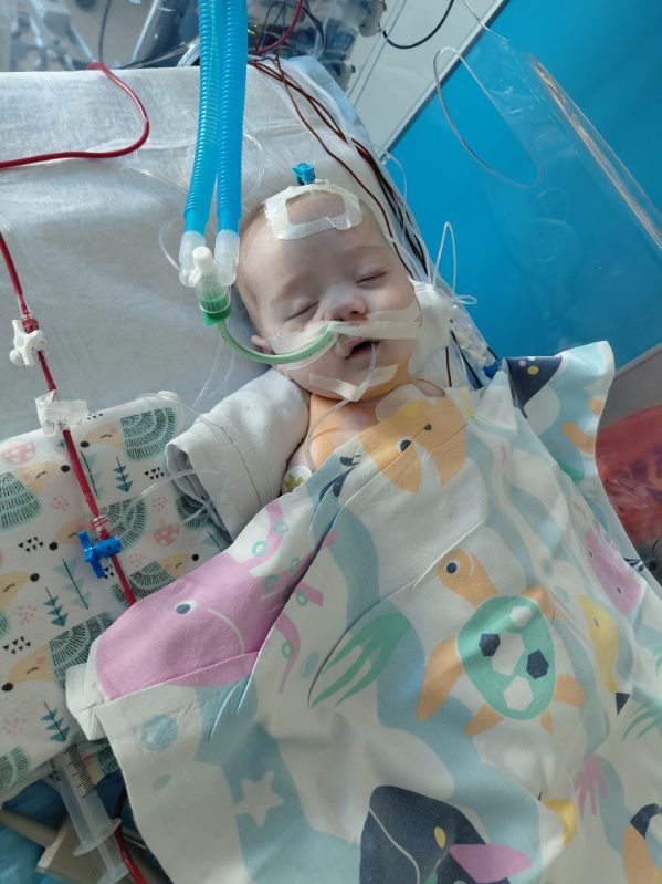 HLHS - RATUJEMY SERDUSZKO ZIEMOWITA - obrazek 7