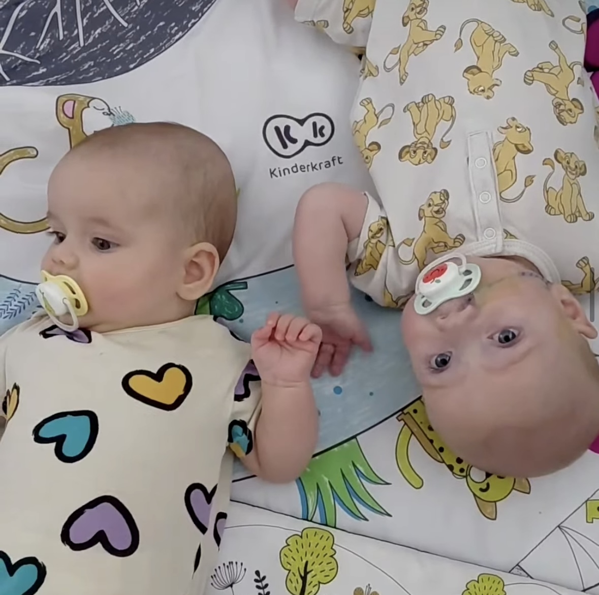 HLHS - RATUJEMY SERDUSZKO ZIEMOWITA - obrazek 10