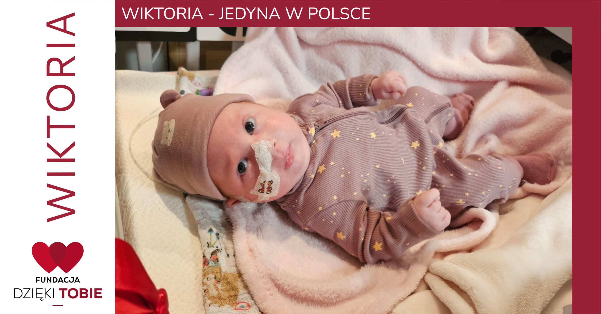 WIKTORIA - jedyna w Polsce